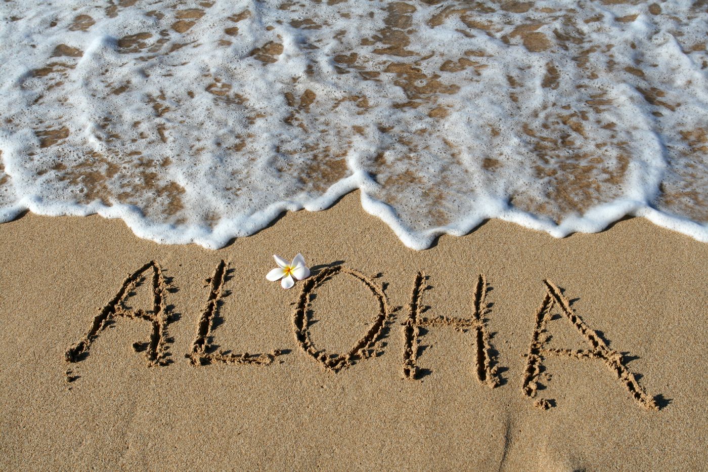 The word Aloha written in beach sand with a plumeria flower